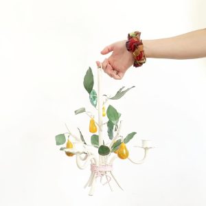 poires-candeluze-min