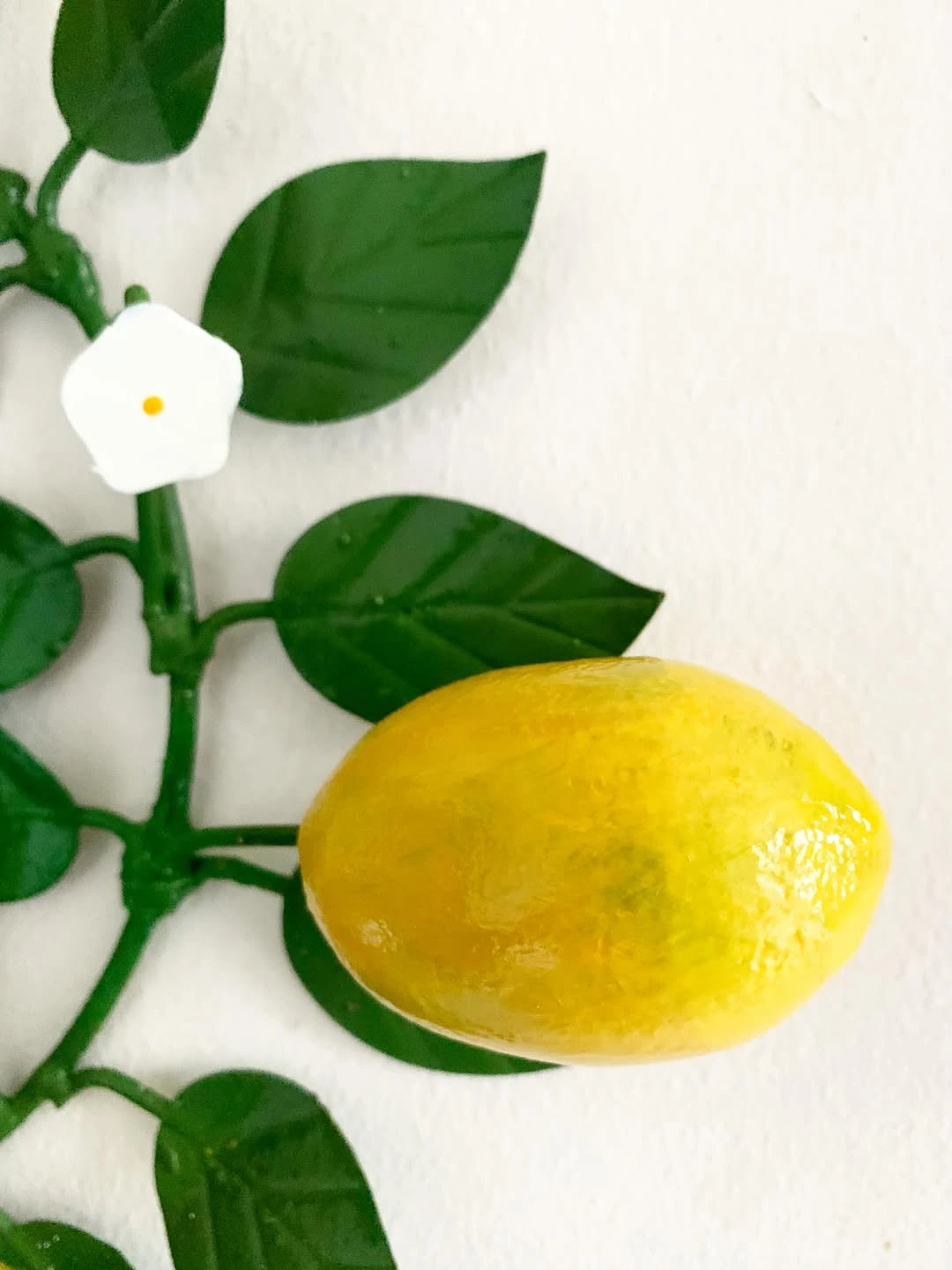 close-up-of-painted-metal-vintage-wall-light-with-lemon-and-floral-botanical-design